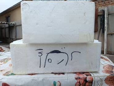 пластиковые контейнеры с крышкой купить бишкек: Пищевой контейнер, цвет - Белый, Самовывоз — 3