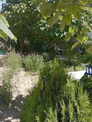 Недвижимость: Сдаю номера на Исск куле село Чок тал на против пансионата Солнышко — 2