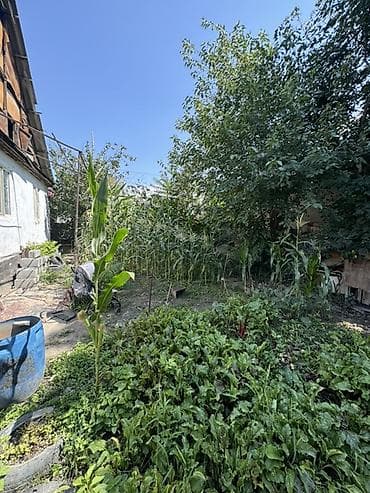 Дома: Продаётся частный дом с участком. - В продаже дом 7 комнат без — 5