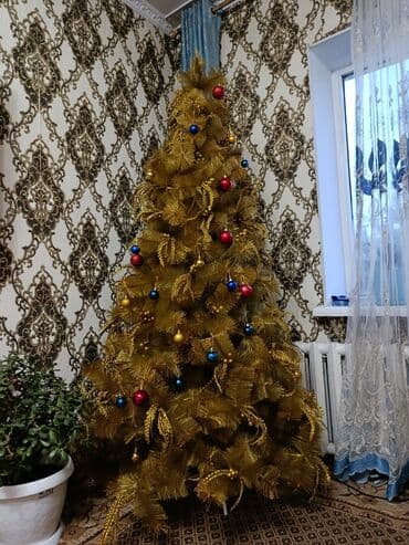 говядина цена за 1 кг бишкек: ЁЛКА — 1