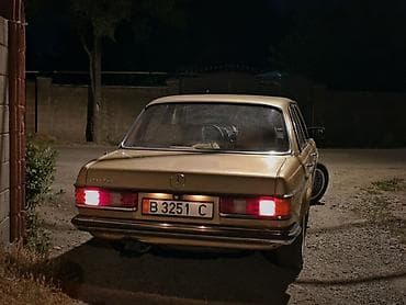 1 g fe: Mercedes-Benz W123: 1981 г., 2.8 л, Механика, Бензин, Седан — 5