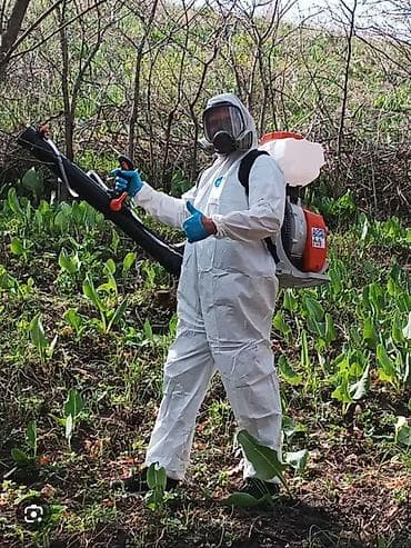 дезинфекция от тараканов бишкек: Дезинфекция, дезинсекция, | Клопы, Блохи, Тараканы, | Транспорт, Офисы, Квартиры — 4