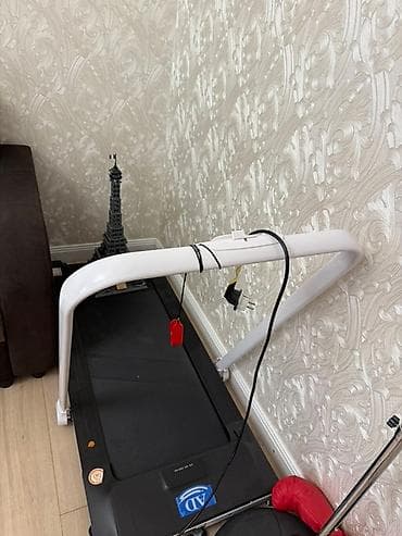 бегущий дорожек: Беговая дорожка с черным полотном и белыми поручнями. Оснащена — 2