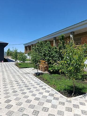 хостел чоктал: Сдаются 800 сом в сутки с чел. номера в с. Бостери р-н Золотые пески — 6