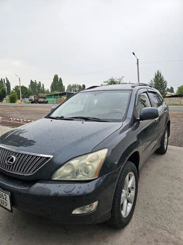 Lexus RX: 2003 г., 3.3 л, Автомат, Бензиновая, Внедорожник
