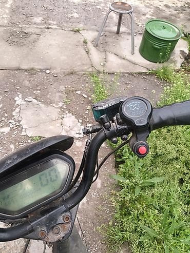 single speed: Электровелосипед — 5