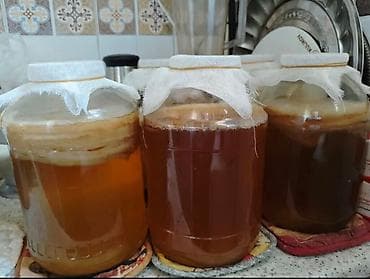 Продукты питания: Чайный гриб ( Комбуча) многослойный, толстый. В 3х.л. банке вместе с — 1