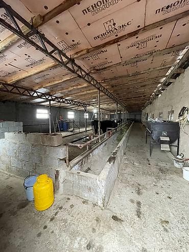 бокс сдаю: Ферма КРС, 1000 соток, Действующий, С оборудованием, Электричество, Отопление, Скважина — 7