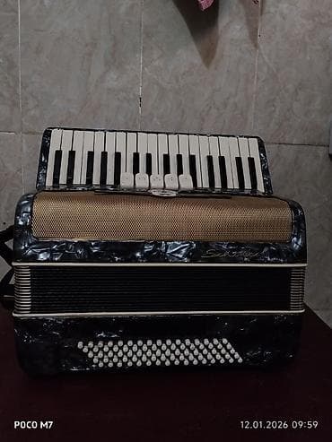 Аккордеоны: Аккордеон SCHOOLER (надпись на корпусе). Классическая — 3