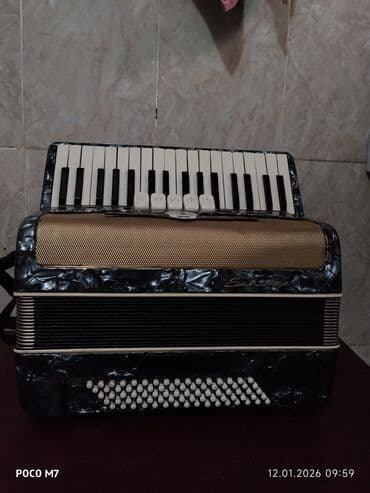 Баяны: Аккордеон SCHOOLER (надпись на корпусе). Классическая — 1