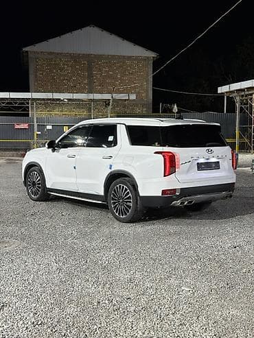 оптима 2 4: Hyundai Palisade: 2020 г., 2.2 л, Автомат, Дизель, Кроссовер — 3