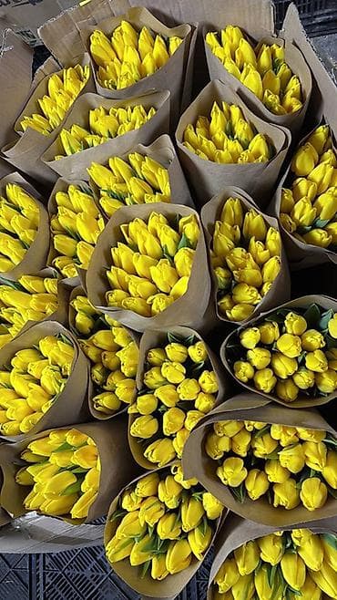 детские парта: Тюльпаны оптом и в розницу Оптом 80сом В розницу 90сом Вотцап - — 6