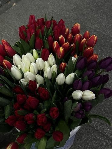 цветы ромашка: Ищу работу сиделки! Опыт 5 лет — 1