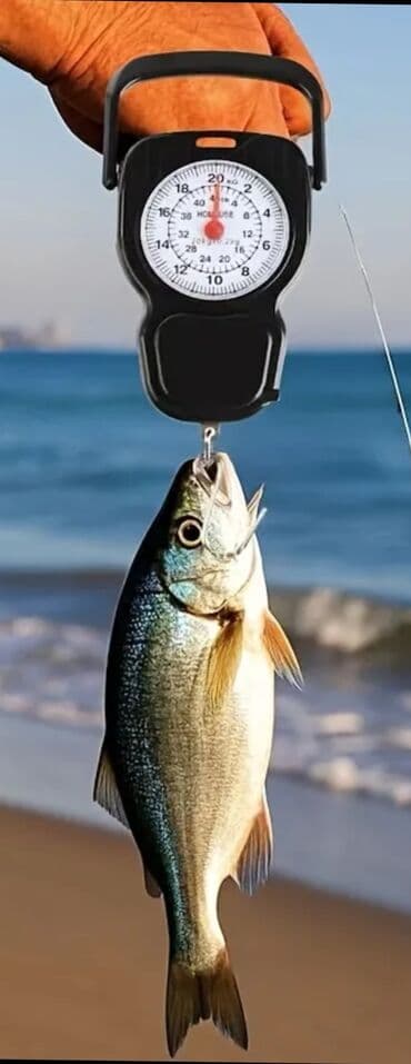 мясной пила: Продаются высы с встроенной рулеткой. До 20кг. Качество хорошее — 1