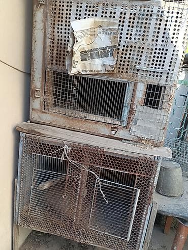 клетка для кури: Клетка на 16 кур несушек. лёгкая удобная. куры не клюют яйца не ходят — 2