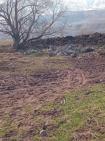 Продаю перегной хорошего качества многолетний без мусора а также