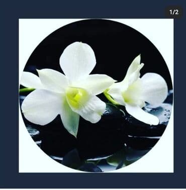 натяжные потолки город ош: Натяжные потолки любых видов Теневые натяжные Парящие натяжные — 8