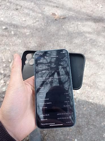 ipod touch 4: IPhone 13, Б/у, 256 ГБ, Голубой, Зарядное устройство, Защитное стекло, Чехол, 89 % — 10