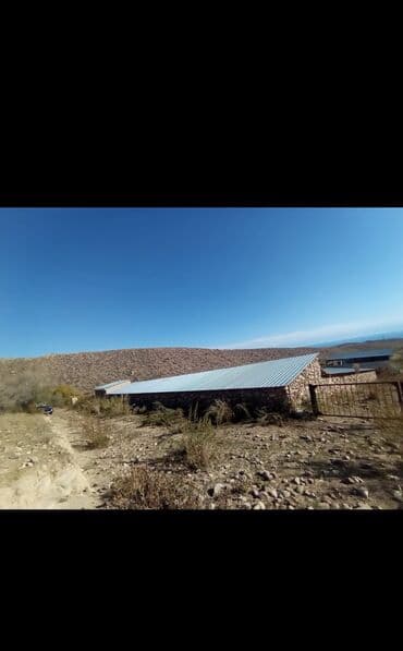 меняю на скот: Продается действующий бизнес кашар вместе с садом для разведения скота — 4