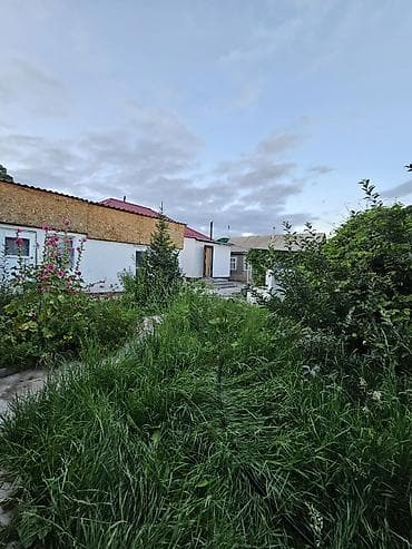 Недвижимость: Сдаётся летний домик/комнаты в частном дворе с зелёным садом и — 2