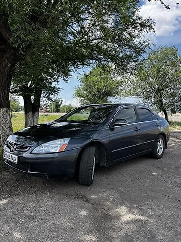 аккорд 2003: Honda Accord: 2004 г., 2.4 л, Автомат, Газ, Седан — 3