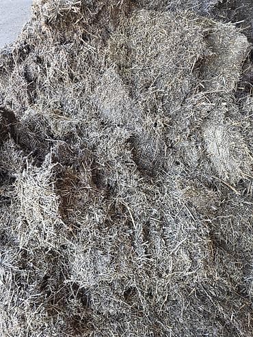 Животные: Продаётся сенаж из люцерны — 50–60 тонн Качественный измельченный — 2