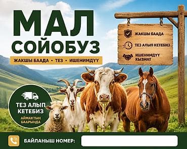 Услуга: забой скота с выездом. - Работаем по всему региону - Быстро at lalafo.kg Услуга: забой скота с выездом. - Работаем по всему региону - Быстро