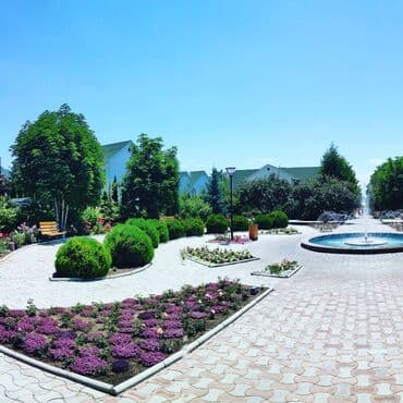 отель хаят: Номер, КАПРИЗ — 10