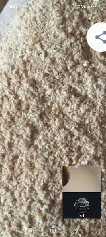 цыплята бролеры: Корма и компоненты для животноводства - Пшеница фуражная — чистое — 4