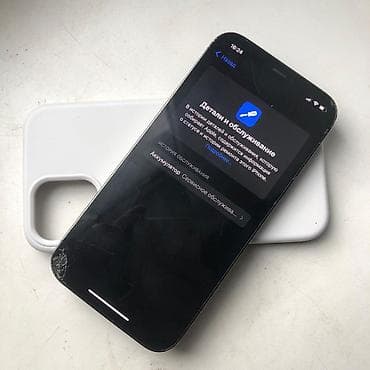 galaxy tab e: IPhone 12 Pro, 256 ГБ, Графит, Чехол — 3