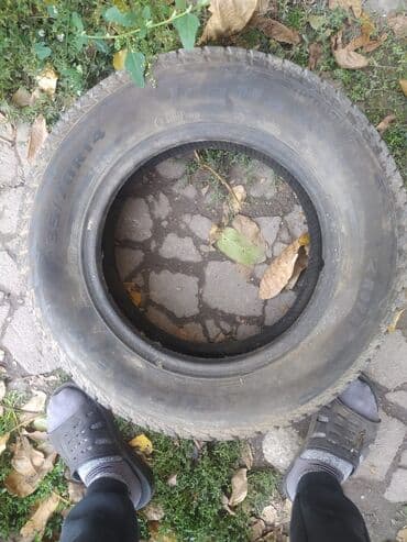 купить шины в бишкеке бу: 4штук адрес кемин — 2