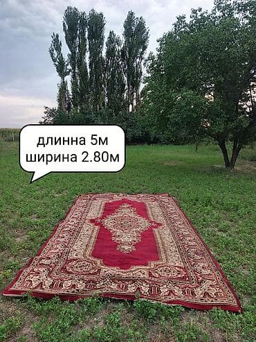 Ковер Б/у, 500 * Безналичная/наличная оплата at lalafo.kg — 1 Ковер Б/у, 500 * Безналичная/наличная оплата — 1