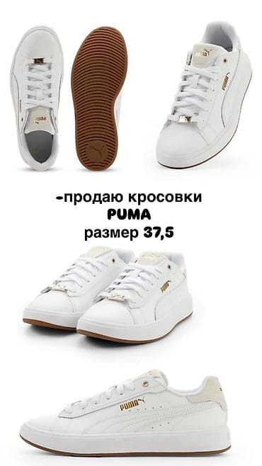 Оригинальные кроссовки Puma - Размер: 37,5 EU (женский 7) - Цвет at lalafo.kg Оригинальные кроссовки Puma - Размер: 37,5 EU (женский 7) - Цвет