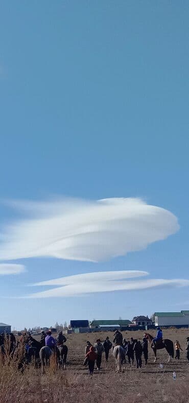 долгосрочные квартиры в аламедин 1: 2 бөлмө, Менчик ээси, Чогуу жашоосу жок, Жарым -жартылай эмереги бар — 2