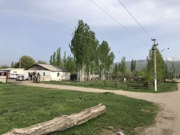 ала тоо дом отдыха: Здания — 7