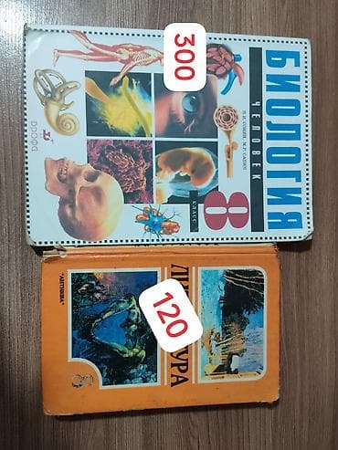 local guide program: Учебники для начальных,старших и средних классов (разные предметы и — 9