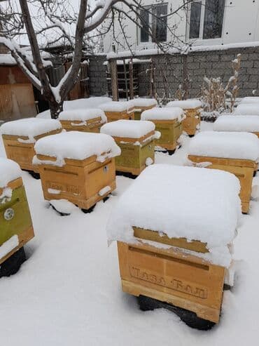 продажа домашних животных: Ульи для пчёл Преимущества ППУ ульев Пенополиуретан (ППУ) -Это — 15