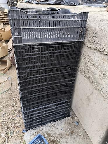 пластиковый ящик для овощей: Пластиковый Ящик — 4