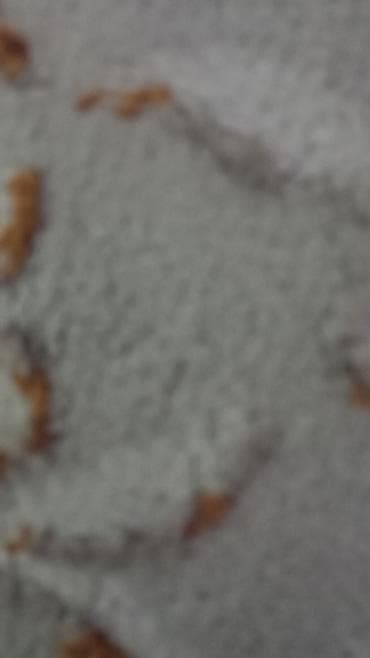 акжол: Овощилерди кафе ресторондарга аарчып даярдап жеткирип беребиз — 2