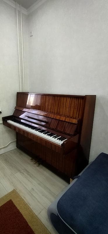 Микрофоны: Пианино 🎹"Беларусь " В хорошем состоянии! — 2