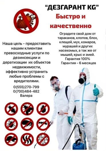 гостевой дом на иссык куле: Дезинфекция, дезинсекция, | Тараканы, | Транспорт, Офисы, Квартиры — 11