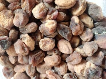 мешки для клубники: Сушёные абрикосы и абрикосовые косточки (урюк/кандик, «сникерс») — 2