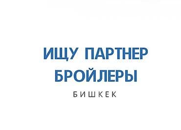 саудовская аравия: Ищу партнёра по направлению «бройлеры» (Бишкек). Предлагается — 1