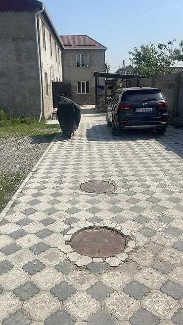 квартира без хозяин ак орго: 1 комната, Собственник, Без подселения, С мебелью частично — 6