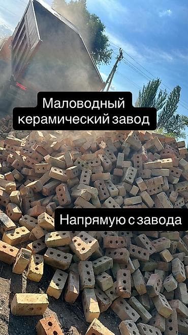 Пустотелый, дырчатый, Жженый кирпич, Полублок, 250×120×90