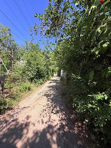село чокморова: 4 соток, Тех паспорт, Договор купли-продажи — 3