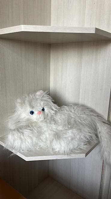 костюм зайки: ‼️ отдам даром‼️ бесплатно Мягкие игрушки – большие плюшевые зверята — 5