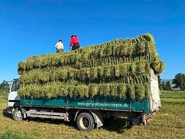 бишкектен уй сатылат: Сено в тюках горное сено с доставкой - Свежескошенное луговое сено — 1
