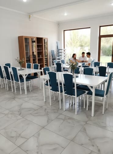 помощник полка: Кухонный стол и стул, Новый, Платная доставка — 1