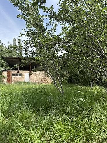 дом в селе: Дача/садовый участок с постройками. - Участок: ровный, зеленый, с — 5